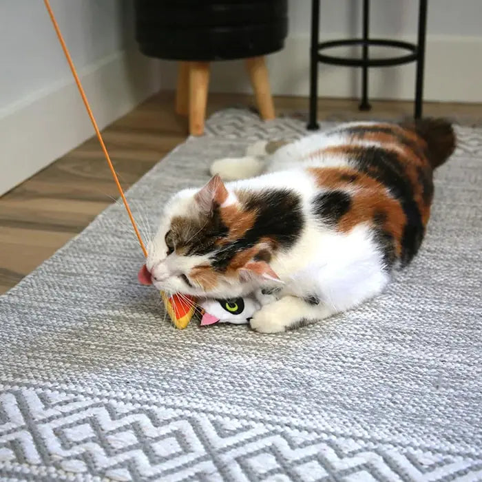 Mad Cat Hiss and Haunt Cat Teaser Wand with Catnip & Matatabi