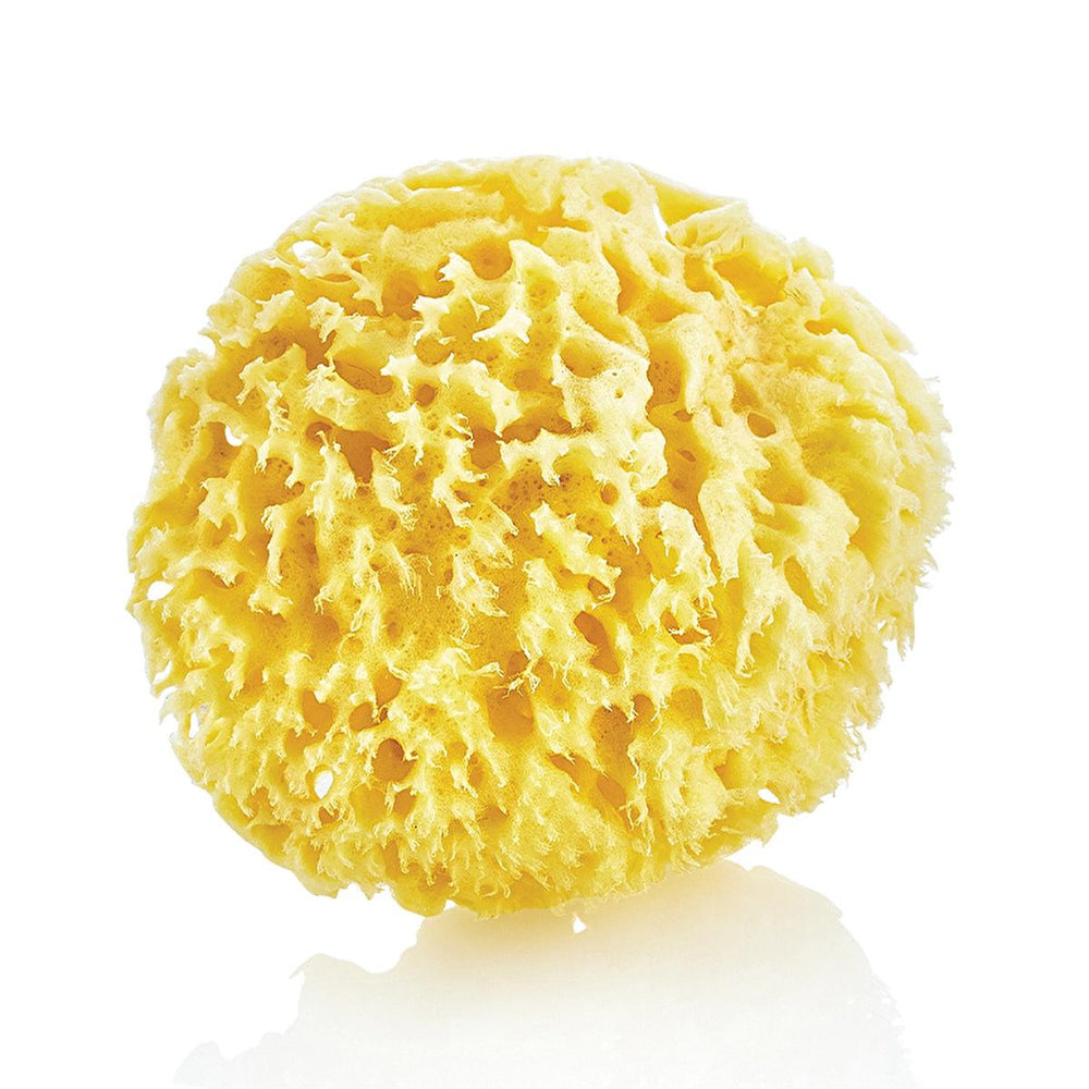 Babyjem Natural Sea Sponge for Gentle Baby Skin Care - Hypoallergenic & Organic Bathing Solution - view 6