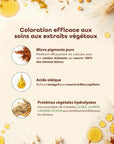 Color&Soin Ammonia-Free Hair Dye 4B Brownie Chestnut - Natural, Permanent Hair Color with Herbal Extracts