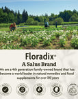 Floradix Liquid Dietary Supplement - Natural Iron & Vitamin Supplement for Adults & Children, Gluten-Free, 8.45 fl oz