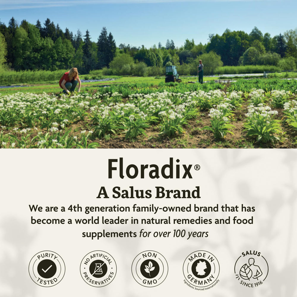 Floradix Liquid Dietary Supplement - Natural Iron & Vitamin Supplement for Adults & Children, Gluten-Free, 8.45 fl oz