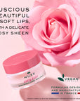 Nuxe Very Rose Lip Balm - Natural Nourishing Rose Oil Moisturizer for Dry Lips