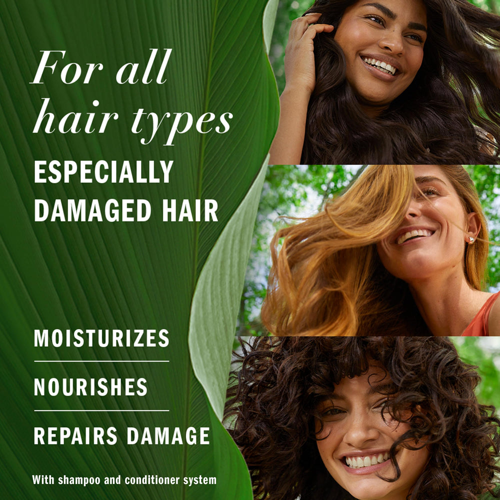 Herbal Essences Repairing Argan Oil Hair Conditioner 8.5oz | Moisturizing Formula