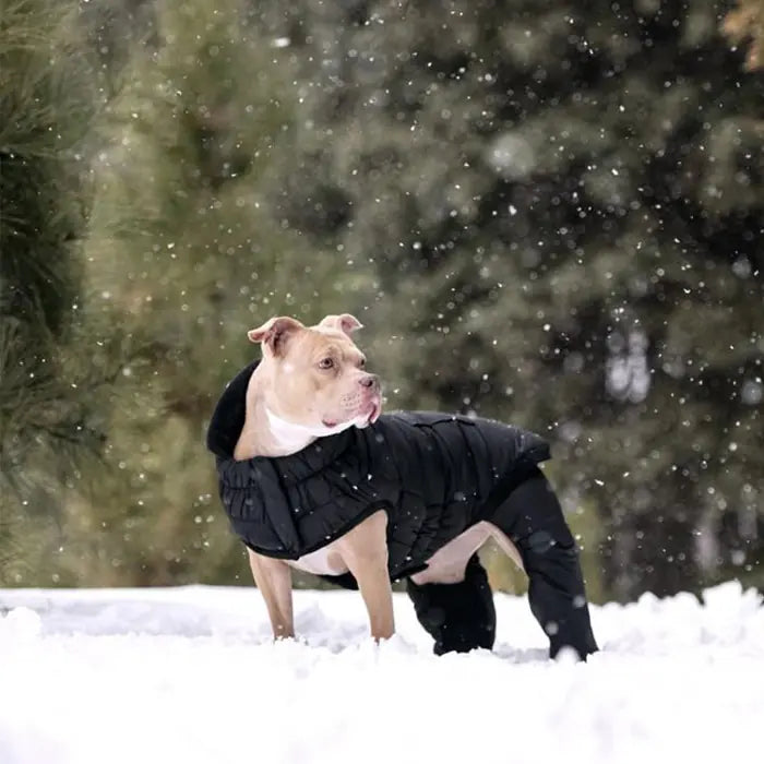 GF Pet Odyssey Dog Snowsuit for Winter Protection