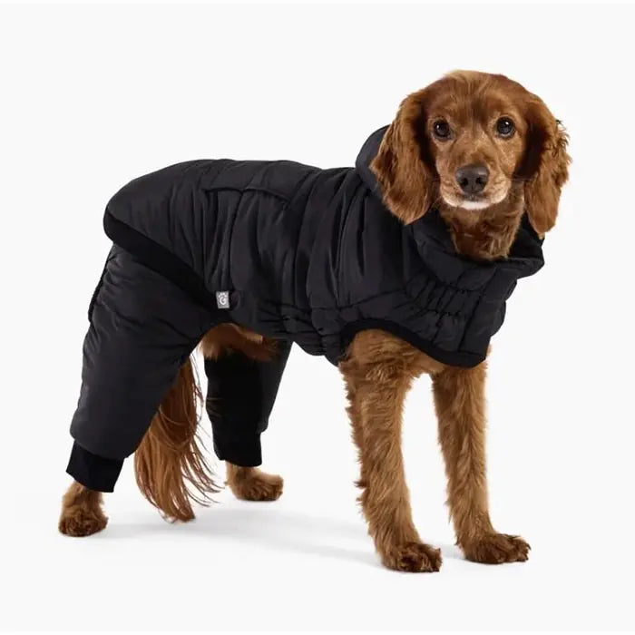 GF Pet Odyssey Dog Snowsuit for Winter Protection