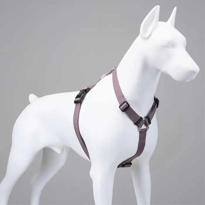 Lindo H-Type Adjustable Dog Harness for Small Breeds