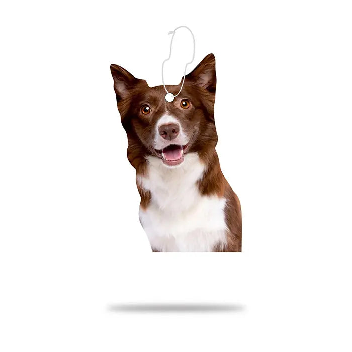 Airgut Pets Border Collie Car Air Freshener Long-Lasting Scent 1 pc
