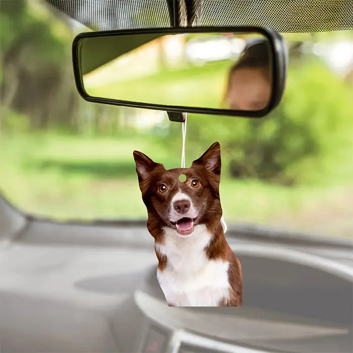 Airgut Pets Border Collie Car Air Freshener Long-Lasting Scent 1 pc