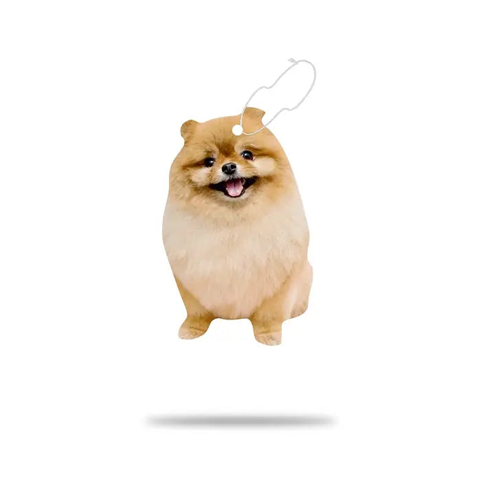 Airgut Pets Pomeranian Car Air Freshener Long-Lasting Scent 1 Unit