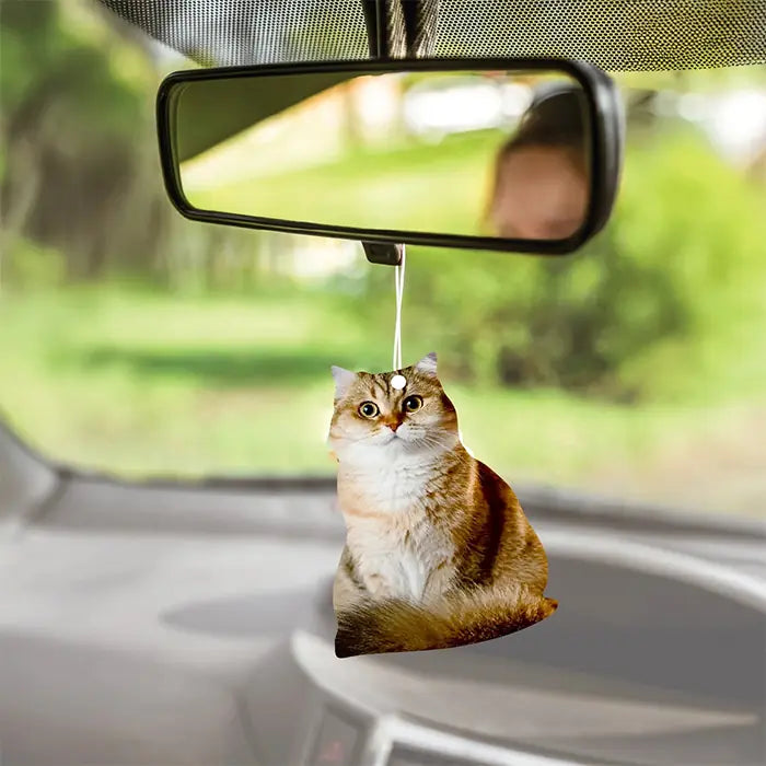 Airgut Pets King Golden British Car Air Freshener 1 Unit