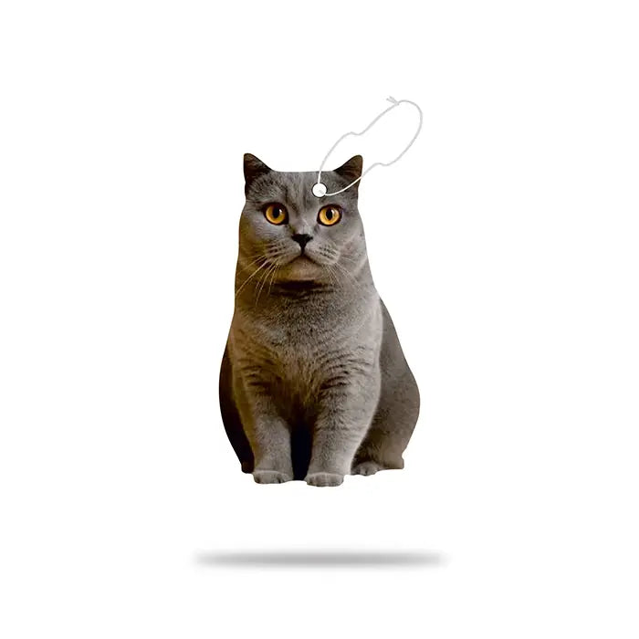 Airgut Pets British Shorthair Car Air Freshener 1 Unit
