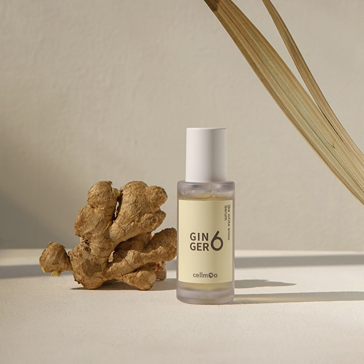 Ginger6 White Serum 30ml - Hydrating Formula | Skin Care - Image #2