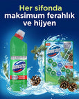 Domestos Toilet Block Pine Forest 100g - Maximum Freshness and Hygiene - Image 