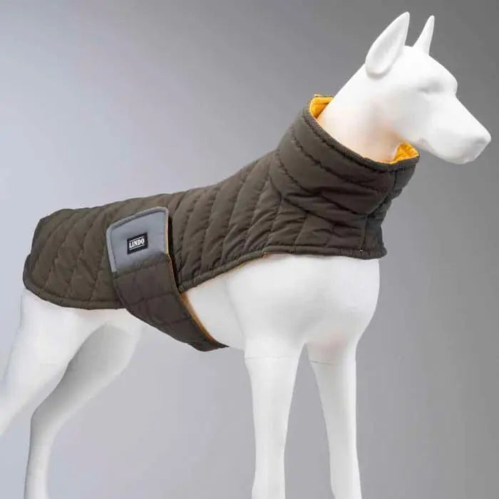 Lindo Air Puff Mango Dog Coat Water-Repellent Winter Jacket