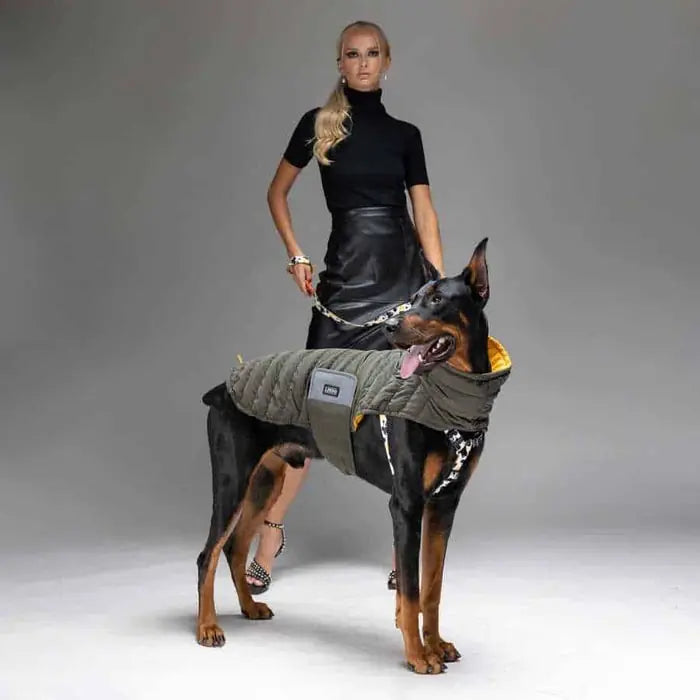 Lindo Air Puff Mango Dog Coat Water-Repellent Winter Jacket