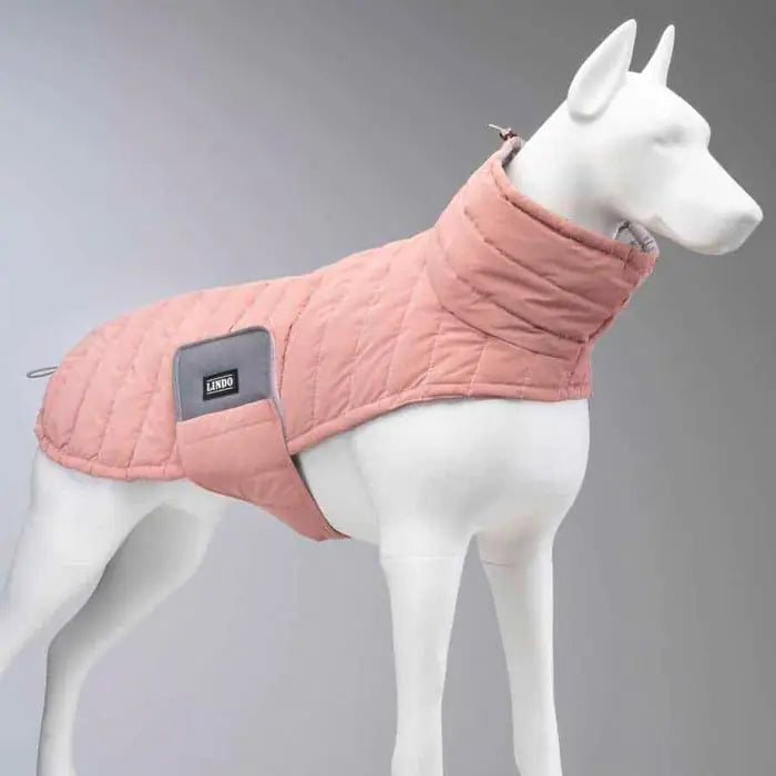 Lindo Air Puff Powder Dog Coat for Warmth and Style