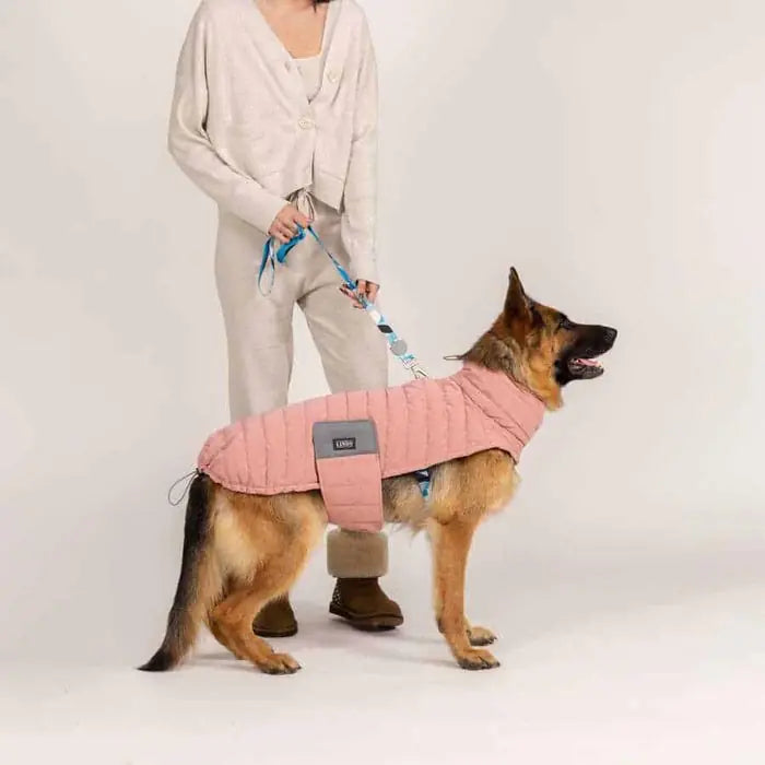 Lindo Air Puff Powder Dog Coat for Warmth and Style