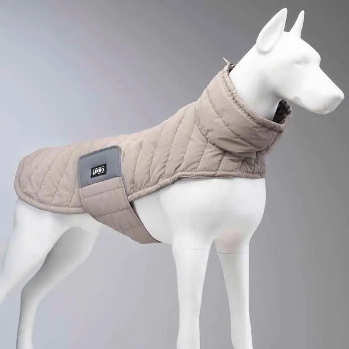 Lindo Air Puff Stone Dog Coat Lightweight Pet Jacket
