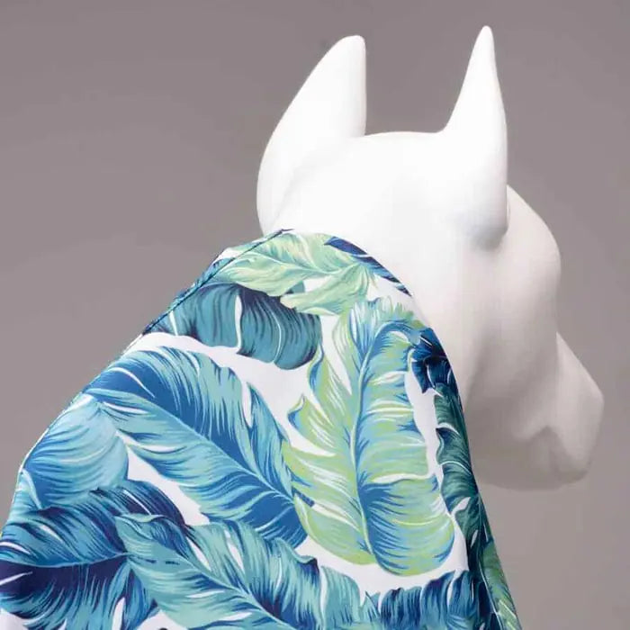Lindo Aqua Waterproof Hooded Dog Raincoat for Outdoor Use