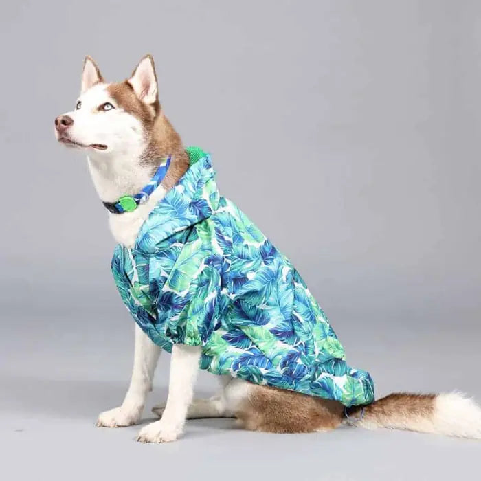 Lindo Aqua Waterproof Hooded Dog Raincoat for Outdoor Use