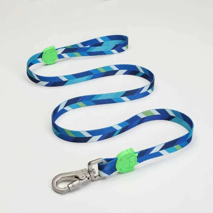 Lindo Blue Dream Durable Dog Leash for Small Breeds