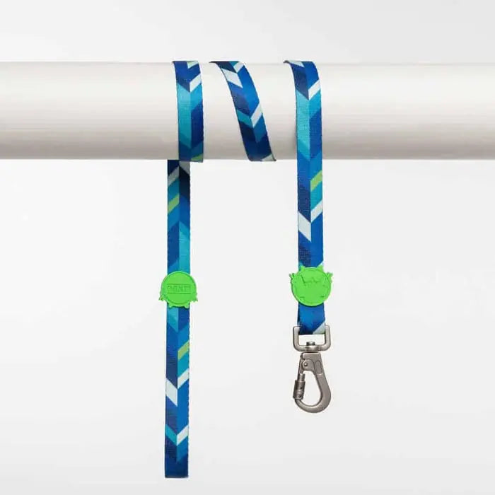 Lindo Blue Dream Durable Dog Leash for Small Breeds