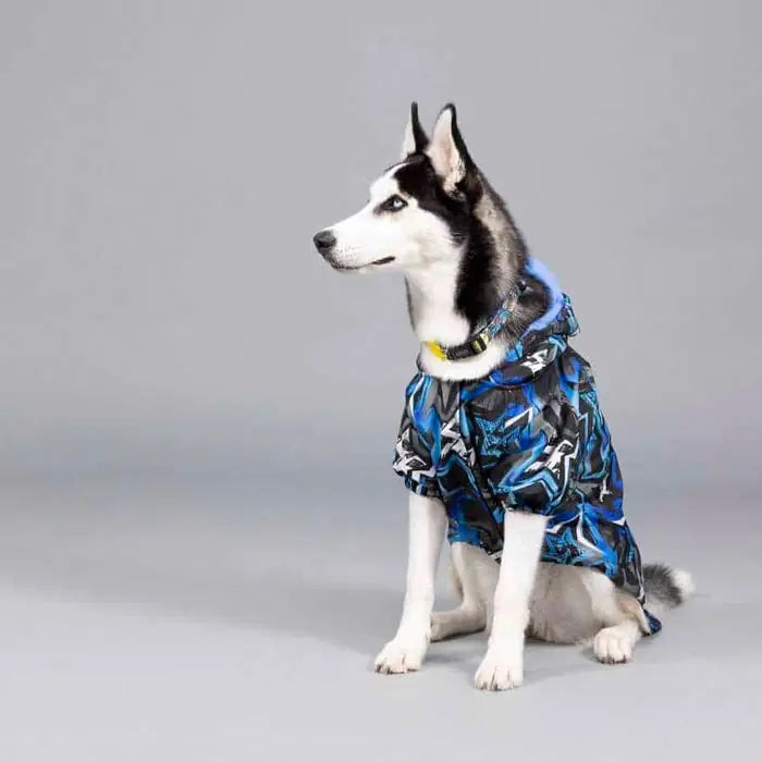 Lindo Blue Star Waterproof Fleece-Lined Dog Raincoat