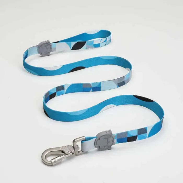 Lindo Breeze Dog Leash Durable Walking Lead Small