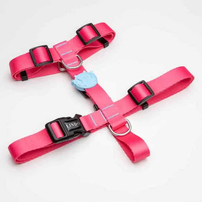 Lindo Bubble H-Type Dog Harness Comfortable Medium Fit