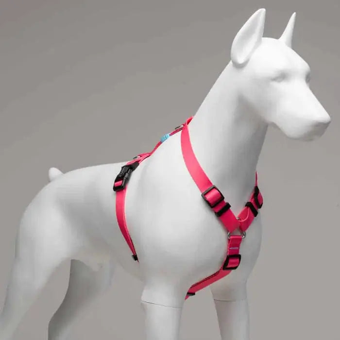 Lindo Bubble H-Type Dog Harness Comfortable Medium Fit