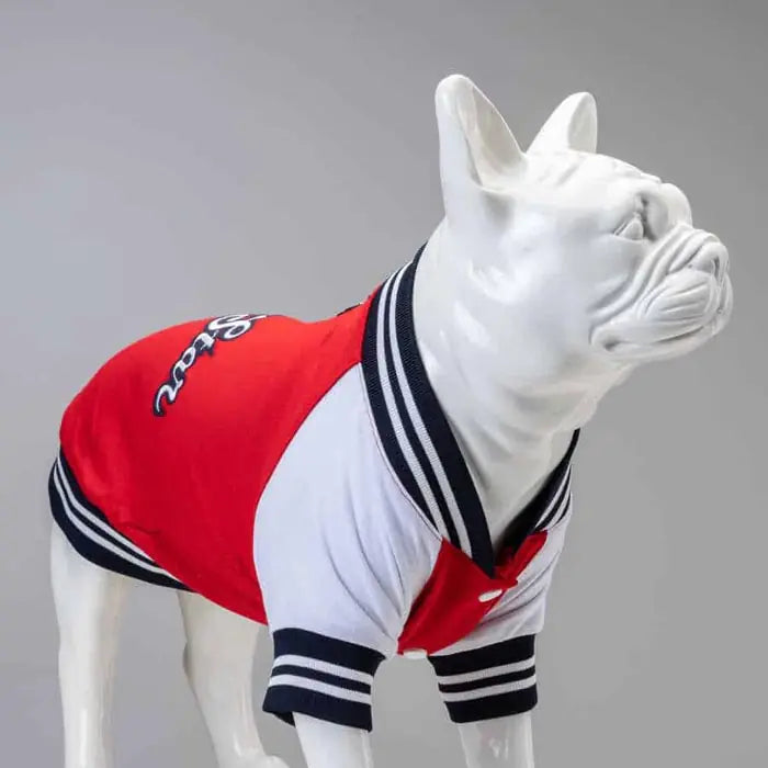 Lindo College AllStar Dog Sweatshirt for All Breeds