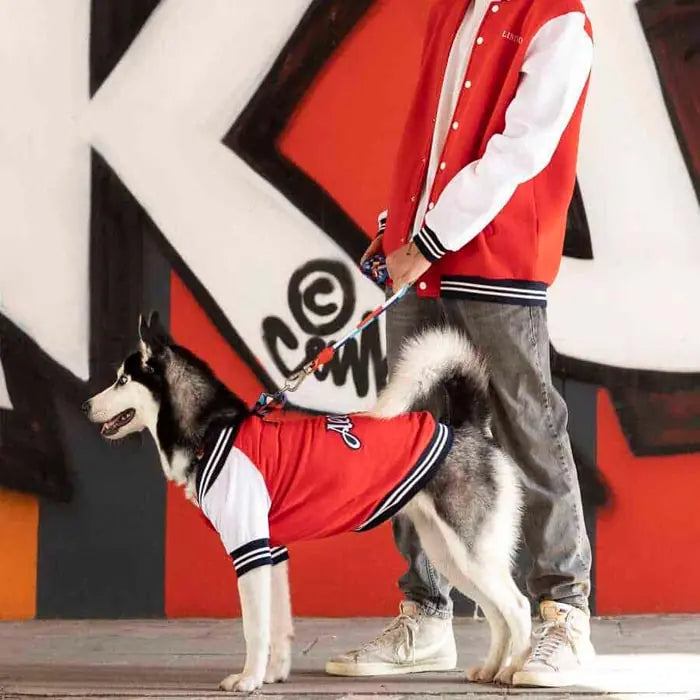 Lindo College AllStar Dog Sweatshirt for All Breeds