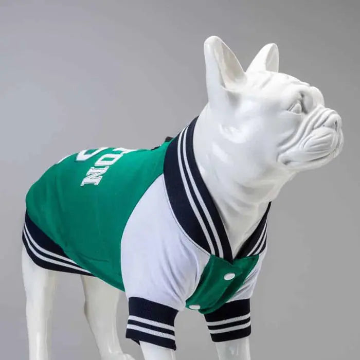 Lindo College Boston Dog Sweatshirt for All Breeds