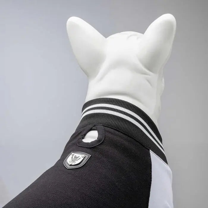 Lindo College Brooklyn Dog Sweatshirt for All Breeds