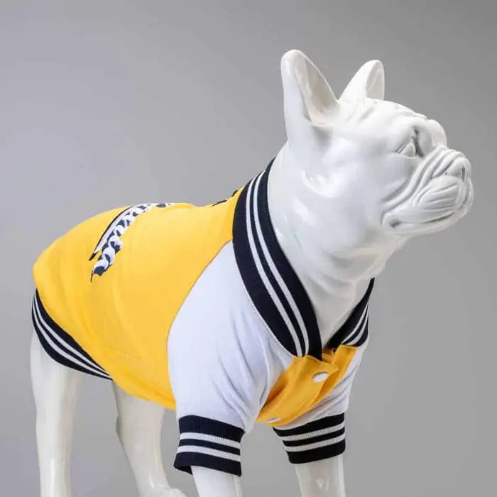 Lindo College California Dog Sweatshirt for All Breeds