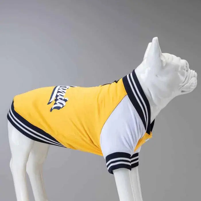 Lindo College California Dog Sweatshirt for All Breeds