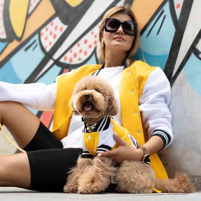 Lindo College California Dog Sweatshirt for All Breeds