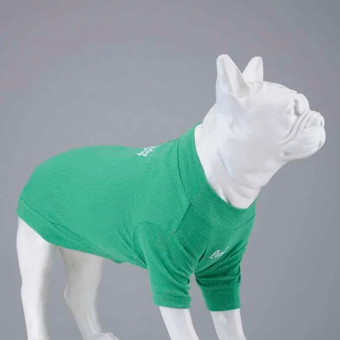 Lindo Make Today Amazing Flex Dog T-Shirt Lightweight Apparel