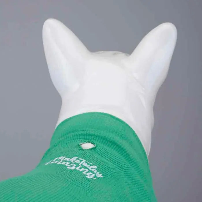Lindo Make Today Amazing Flex Dog T-Shirt Lightweight Apparel