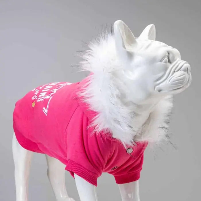 Lindo Mountains Small & Medium Breed Dog Sweatshirt