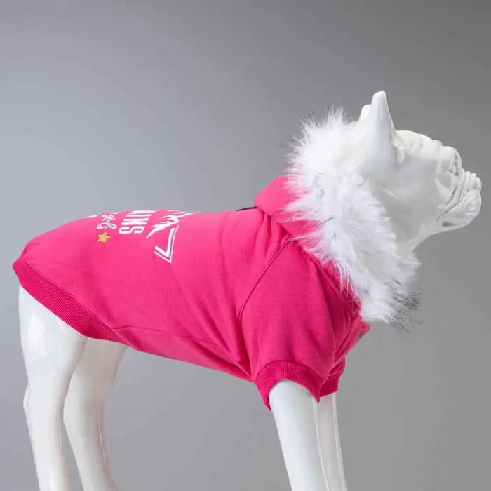 Lindo Mountains Small & Medium Breed Dog Sweatshirt