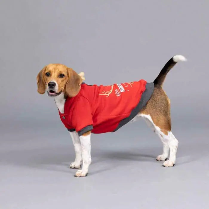 Lindo Club North Deer Red Dog Sweatshirt for Small & Medium Breeds