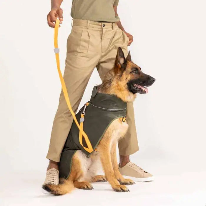 Lindo Softshell Army Green Waterproof Dog Raincoat for All Breeds