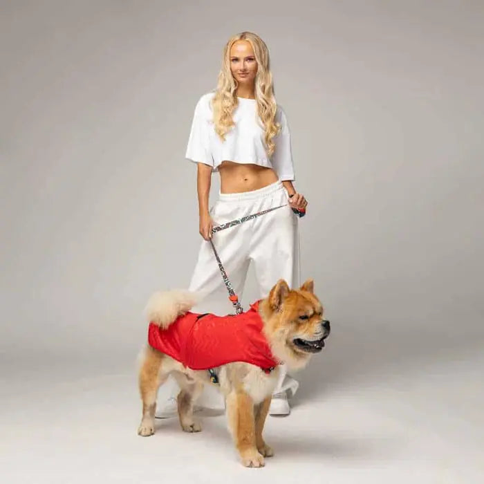 Lindo Softshell Red Stripe Waterproof Dog Raincoat