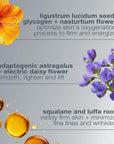Dermalogica Phyto Nature Oxygen Cream 1.69 fl oz - Anti-Aging Moisturizer for Firming & Smoothing