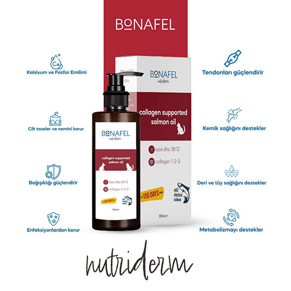 Bonafel Omega-3 Pet Supplement Oil for Cats and Dogs - 5.07 fl oz, Rich in Alaska Salmon Oil, - Vitamin & Supplement