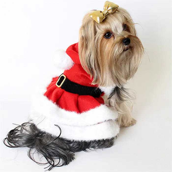 Max Design Christmas Pet Dress, Bright Red with White Feather Details
