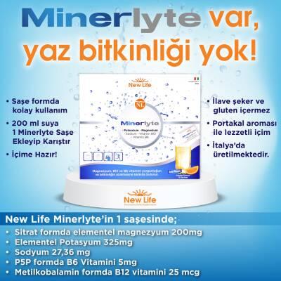 New Life Minerlyte Mineral and Electrolyte Supplement - 12 Sachets - Hydration Support for Active Lifestyle New Life Minerlyte - Mineral & Electrolyte Supplement Mineral Supplement, Electrolyte Replenishment, Sports Nutrition, Dietary Supplement, Hydration Support, Active Lifestyle, Fitness, Workout Recovery, Electrolyte Balance, Mineral Replenishment