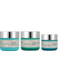 Artistry Skin Nutrition Firming Moisturizer Bundle
