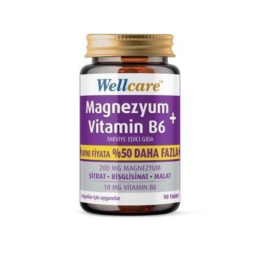 Wellcare Magnesium &amp; Vitamin B6 Daily Wellness Support, 90 Tablets